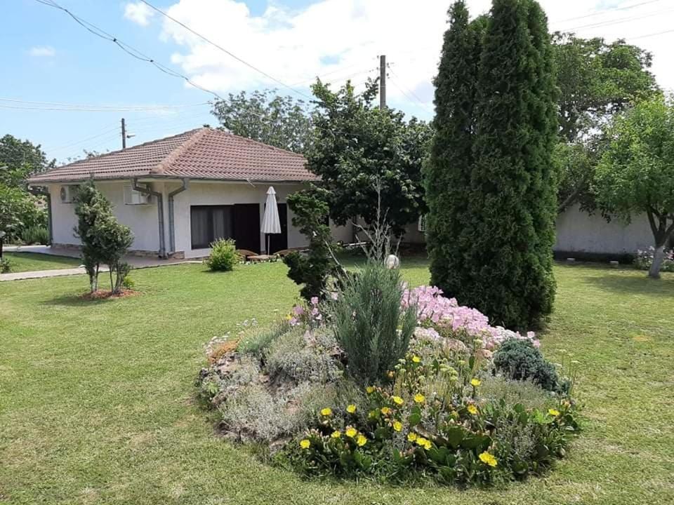 Guesthouse Oasis-Šabla Exteriér fotografie