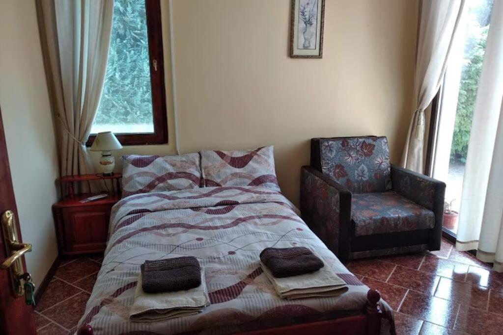 Guesthouse Oasis-Šabla Exteriér fotografie