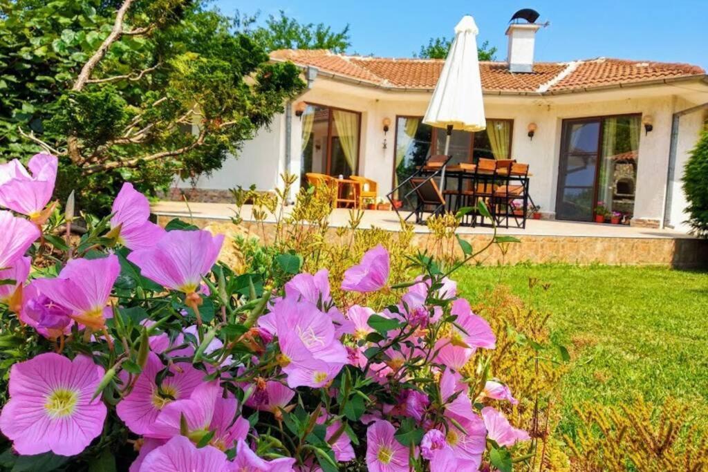 Guesthouse Oasis-Šabla Exteriér fotografie