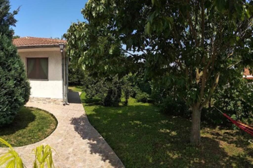 Guesthouse Oasis-Šabla Exteriér fotografie