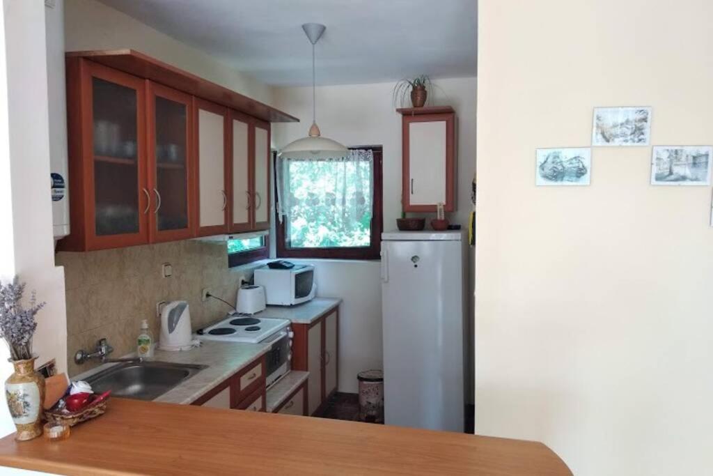 Guesthouse Oasis-Šabla Exteriér fotografie