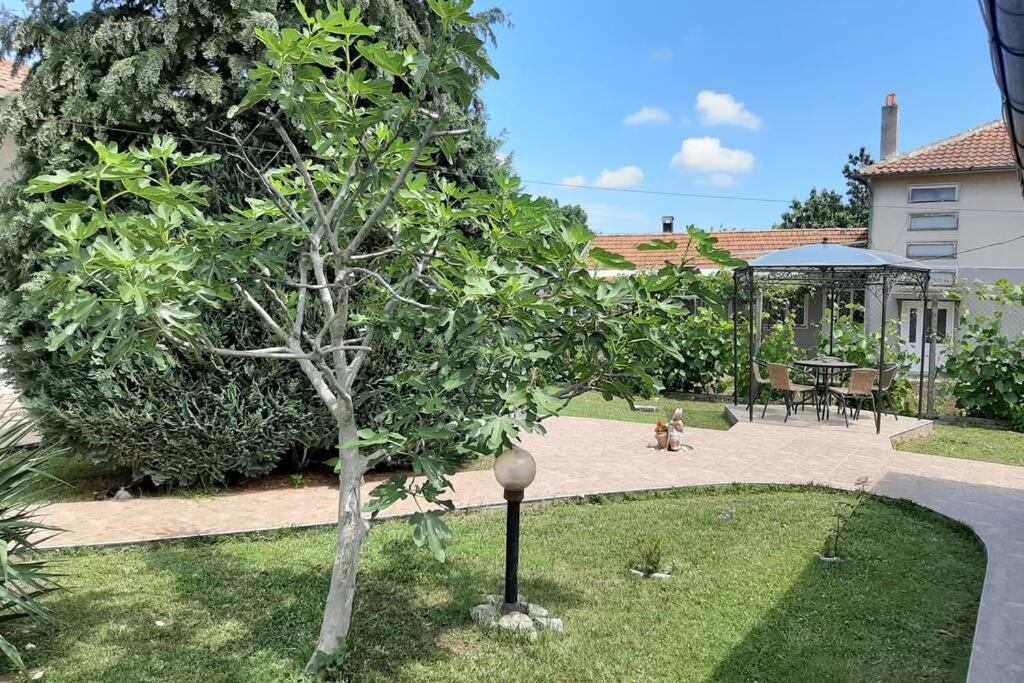 Guesthouse Oasis-Šabla Exteriér fotografie