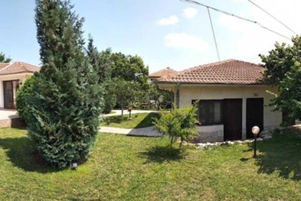 Guesthouse Oasis-Šabla Exteriér fotografie